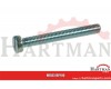 Wkęt z łbem walcowym ocynk Kramp, M5 x 16 mm