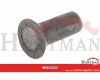 Rivet Copper 5x12 Strautmann