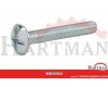 Wkręt z łbem grzybkowym poszerzanym kl. 4.6 ocynk Kramp, M6 x 30 mm