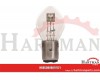Żarówka S1 12V 25/25W BA20D
