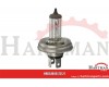 Żarówka H4 P45t, 12 V, 60 W, R2